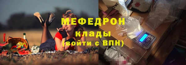 прущие грибы Богородицк