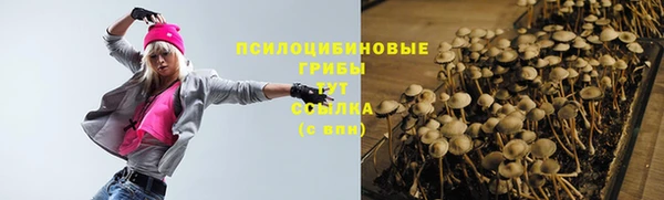 дурь Богданович