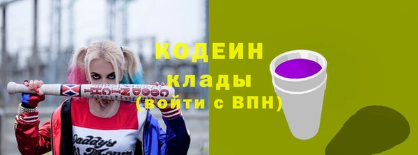 дурь Богданович