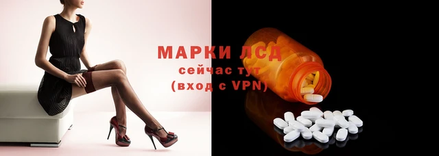 дурь Богданович