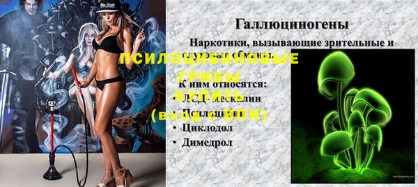 прущие грибы Богородицк