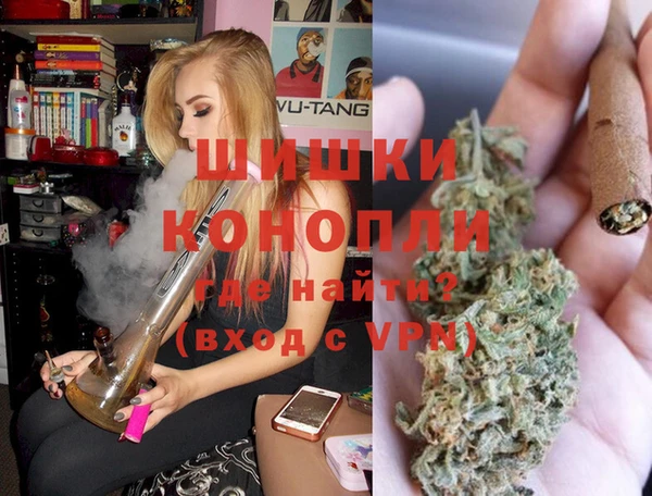 прущие грибы Богородицк
