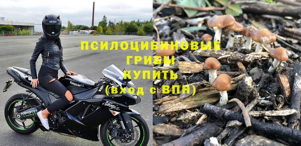 прущие грибы Богородицк