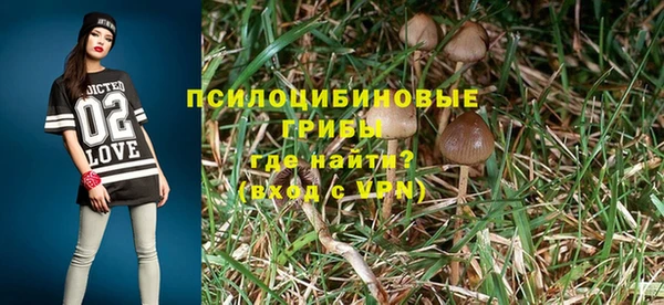 дурь Богданович